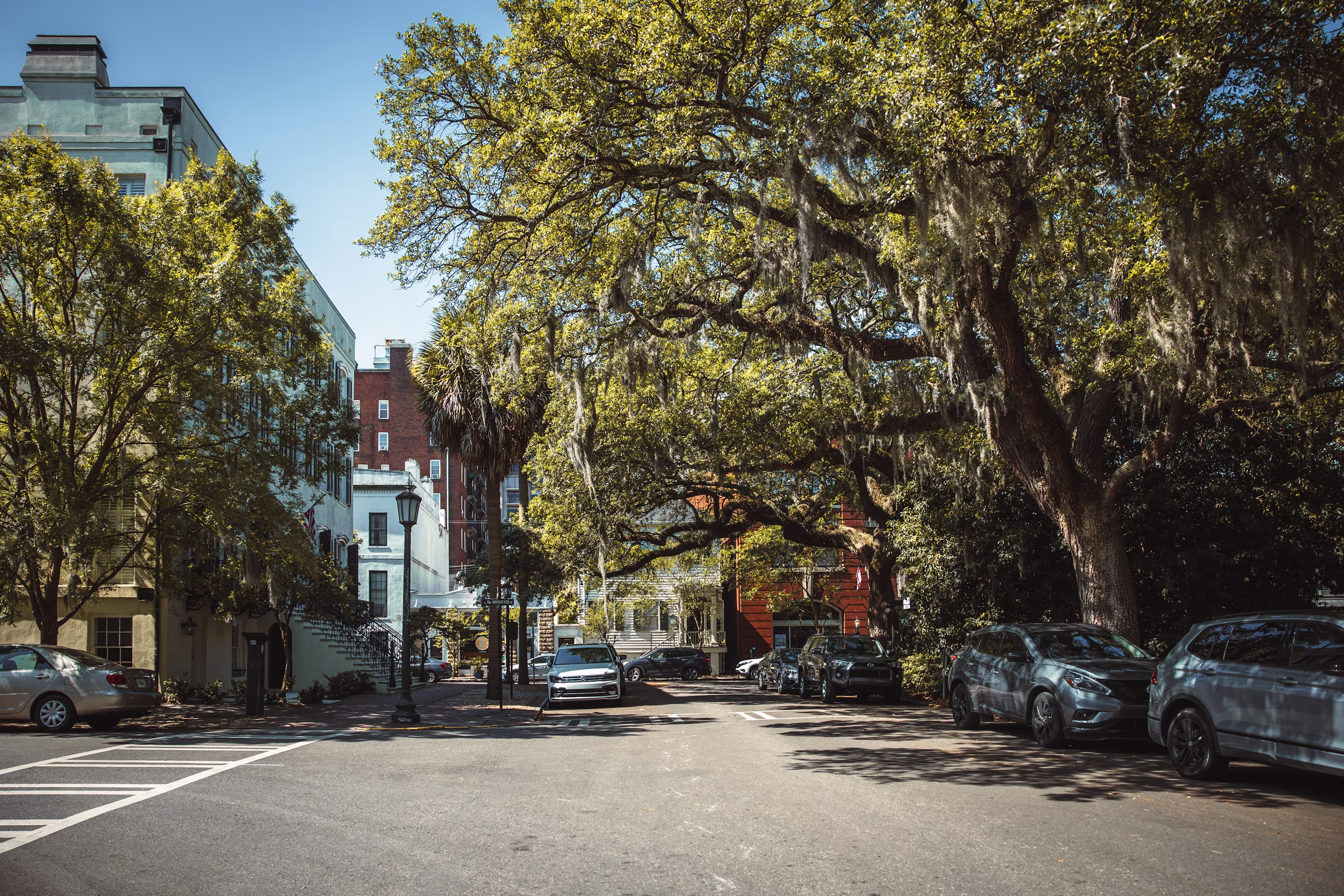 A tree-lined Savannah, Georgia street with Spanish moss and parked cars
